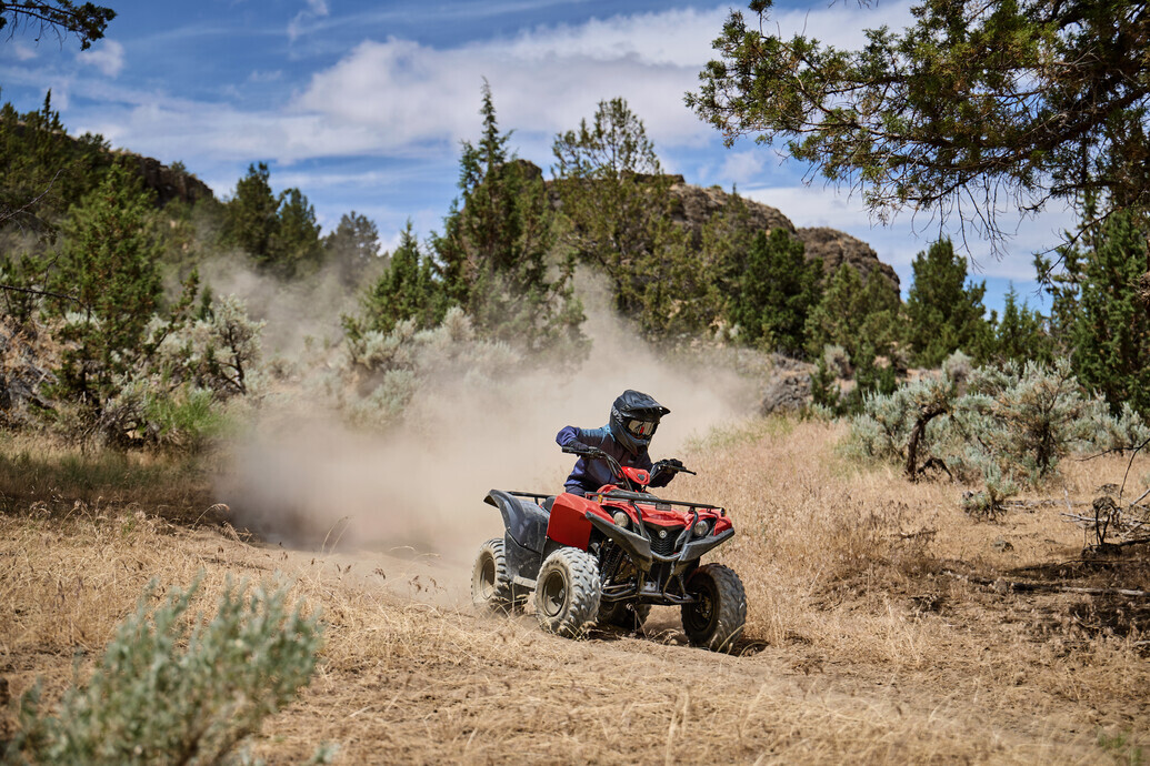 YAMAHA GRIZZLY 110 MY25 4 YAMAHA GRIZZLY 110 MY25 - Image 4