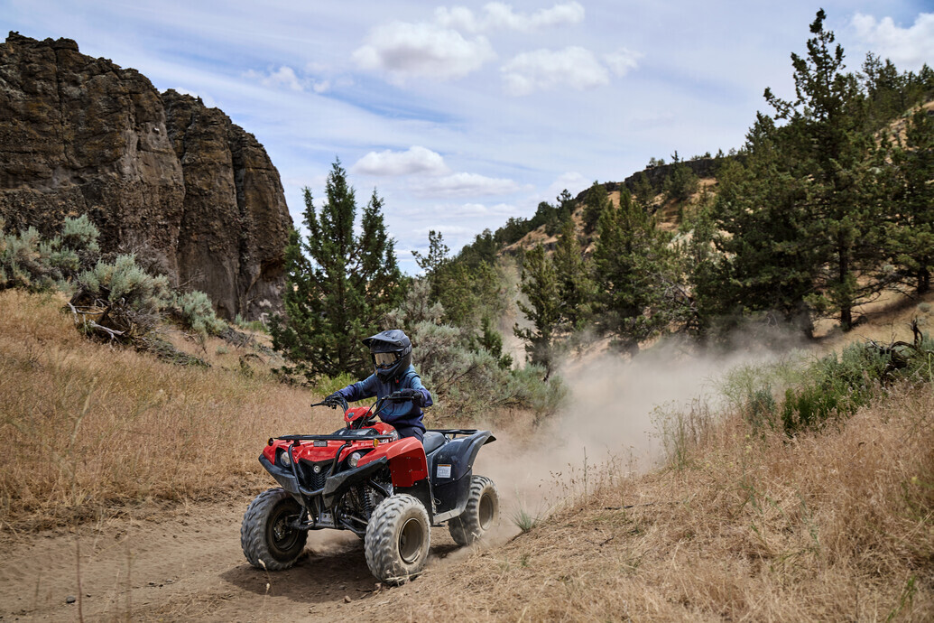 YAMAHA GRIZZLY 110 MY25 7 YAMAHA GRIZZLY 110 MY25 - Image 7